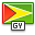 flag guyana drapeau pays