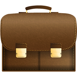 briefcase 07 valise
