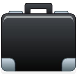 briefcase2 valise