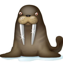 walrus morse