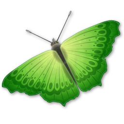 butterfly papillon