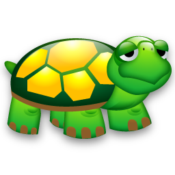 turtle tortue