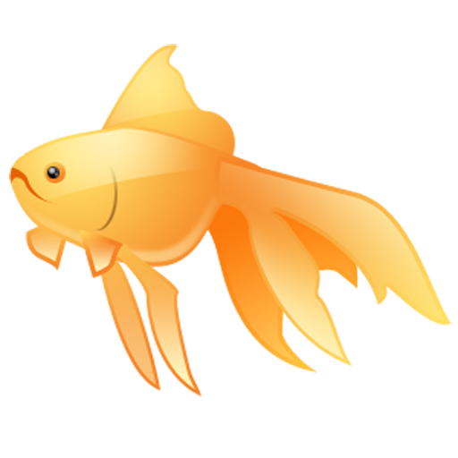 gold fish poisson