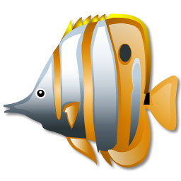 butterfly fish poisson