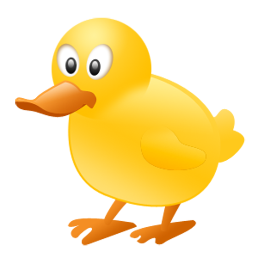 yellow ducky canard