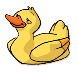 duck canard