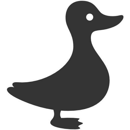 duck 1 canard