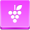 grapes raisin