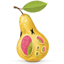 pear poire