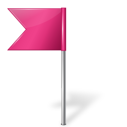 flag4 left pink