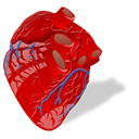 cardiology 1