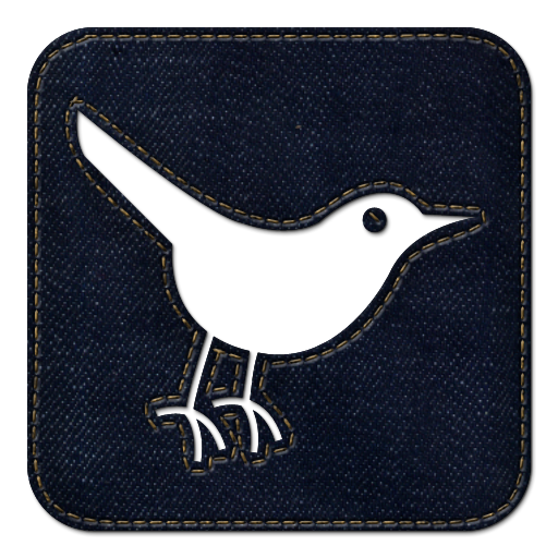 twitter bird3 square