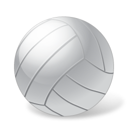 volleyball ball 1