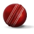 icon cricket
