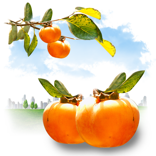 fruits persimmon