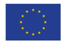 machine a laver drapeau europeen union 03