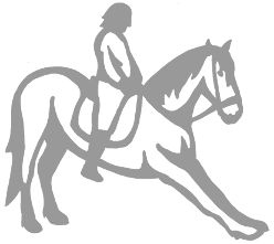 equitation cavalier 14