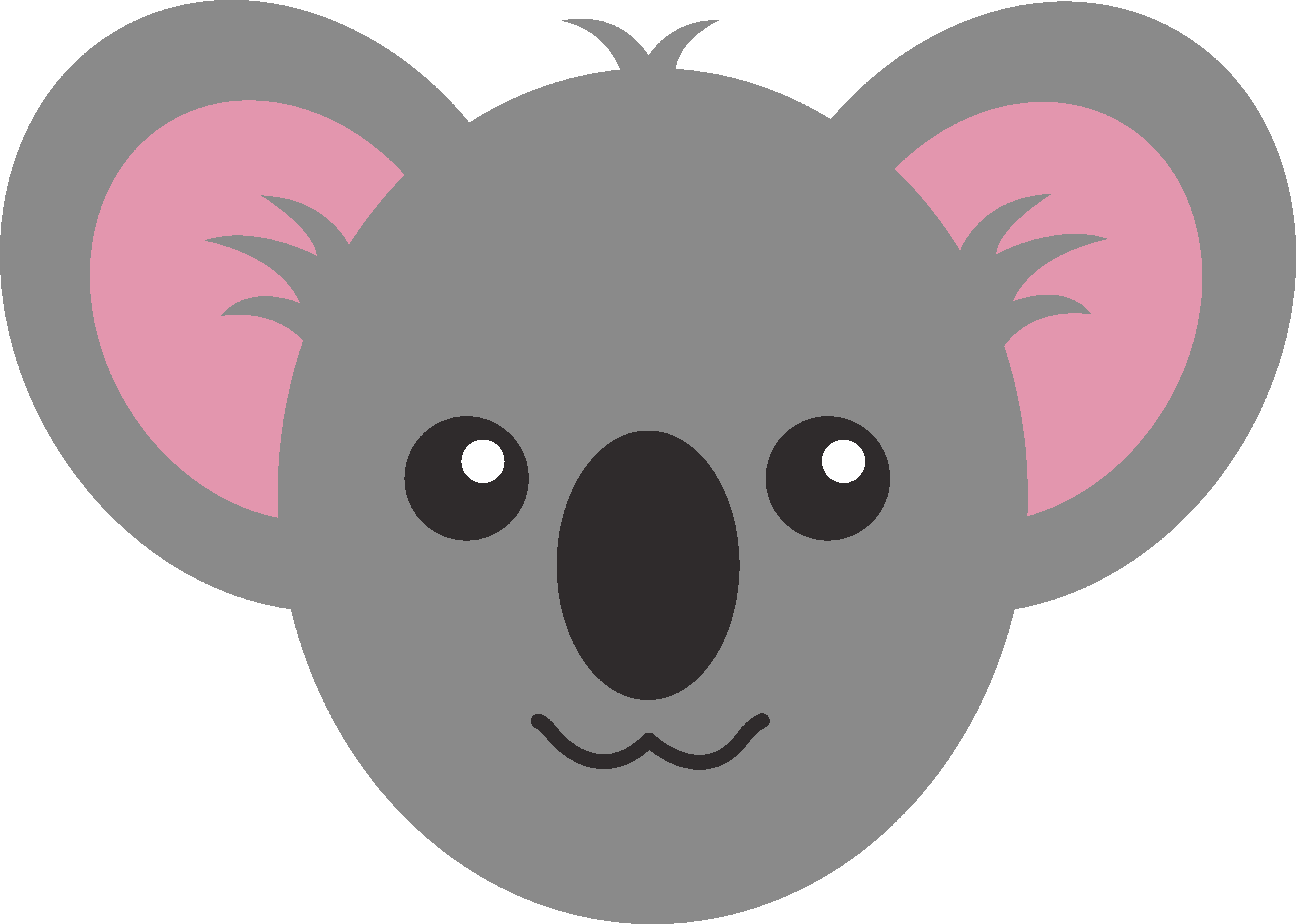 koala 08