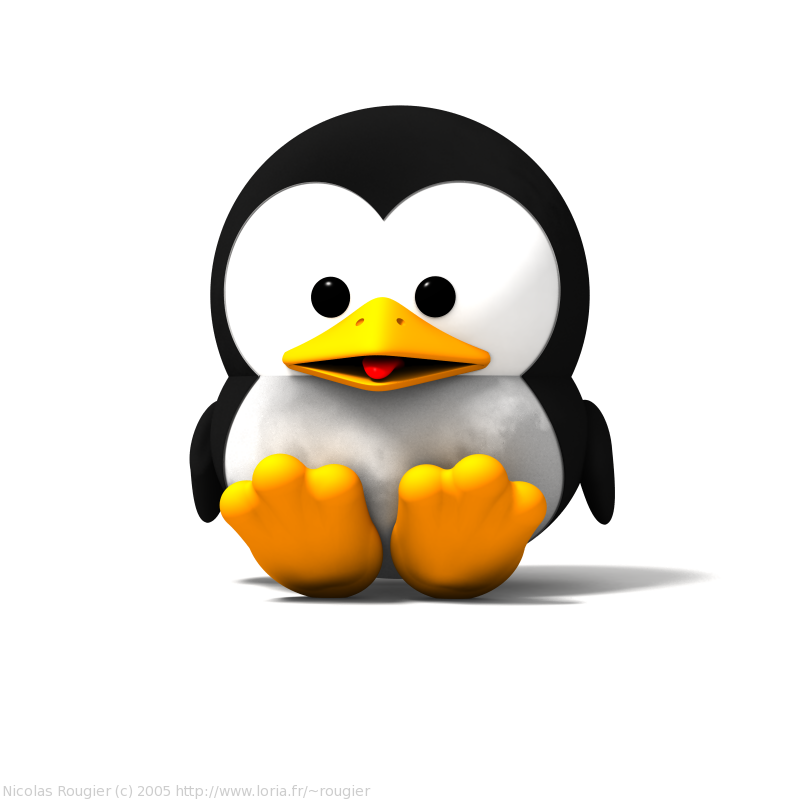 pingouin 6