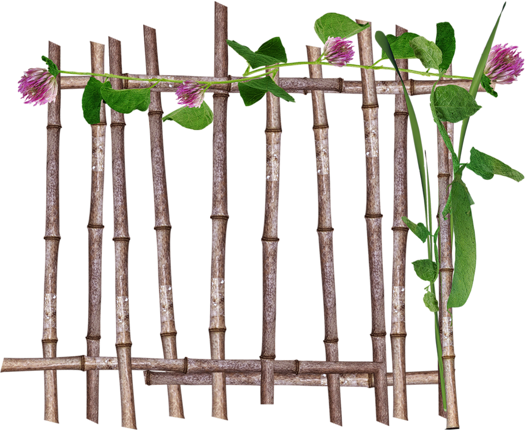 barriere bambou fleur 14