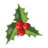 christmas mistletoe houx